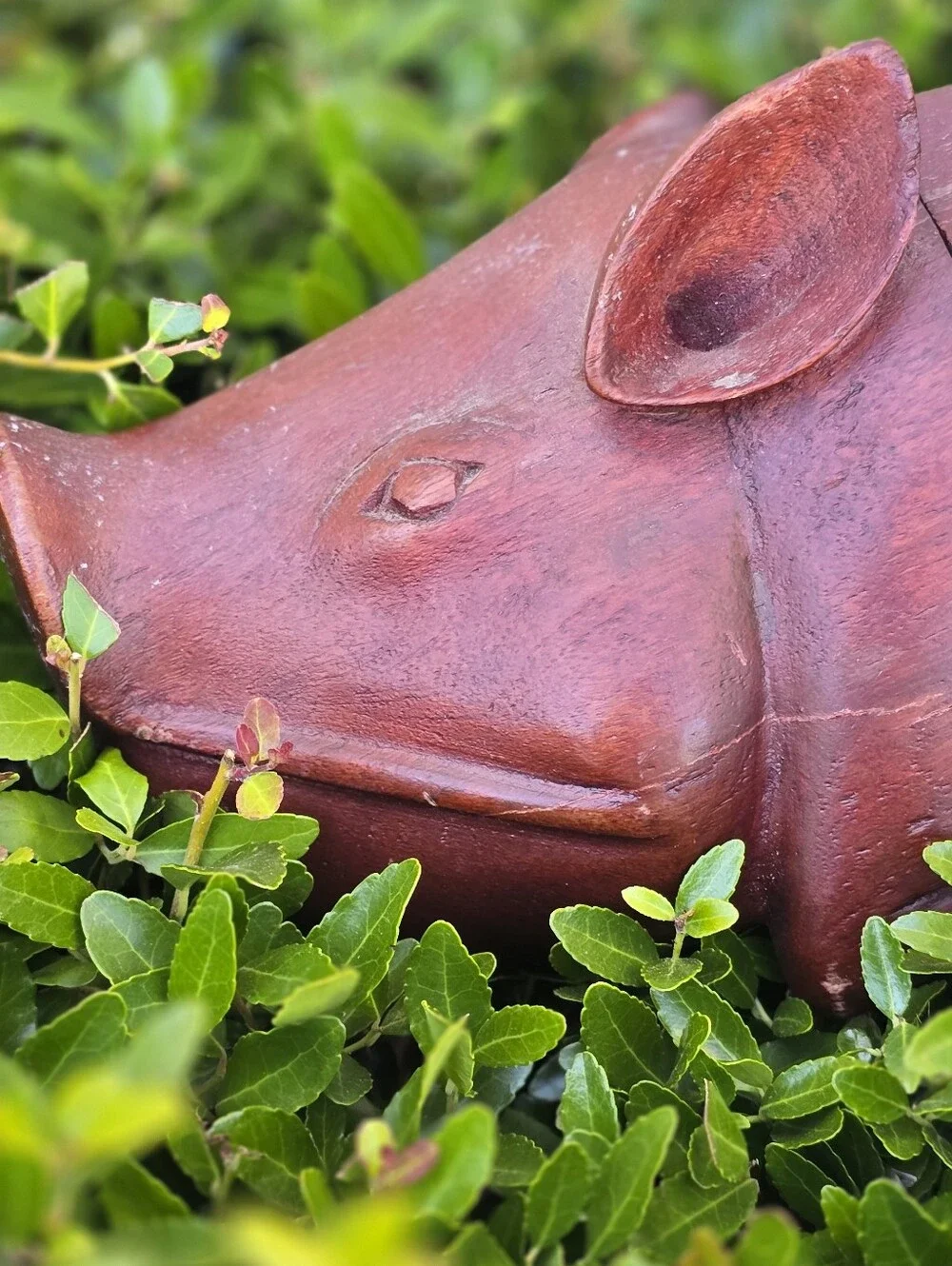Vintage artisan handcarved heavy solid wood pig Trinket snuff box